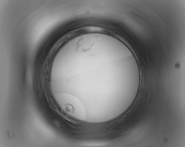 X0000111801151200908131430