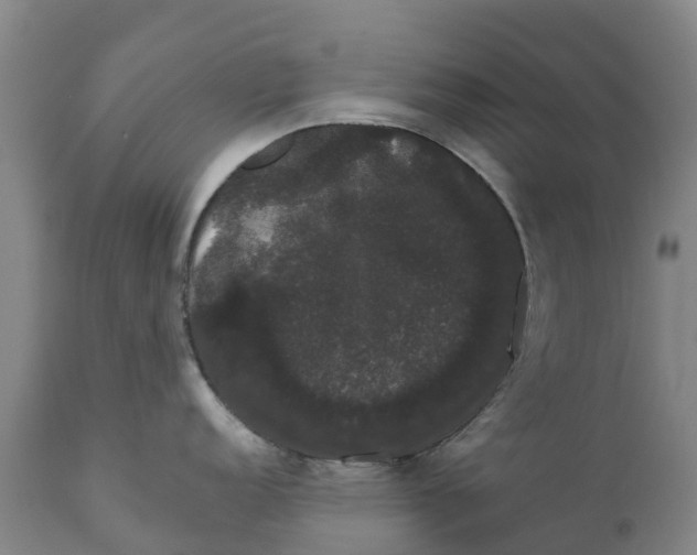X0000111801152200908131430