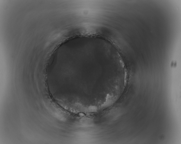 X0000111801153200908131429