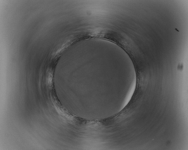 X0000111801154200908131429
