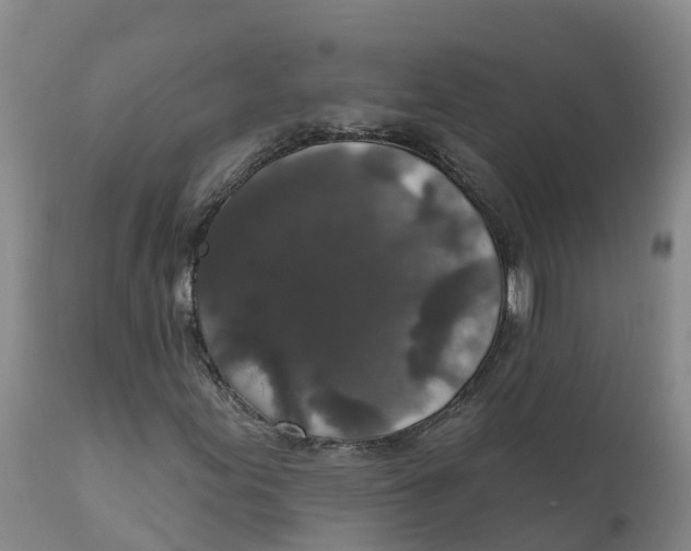 X0000111801155200908131429