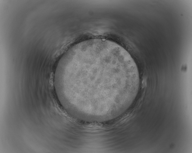 X0000111801156200908131429