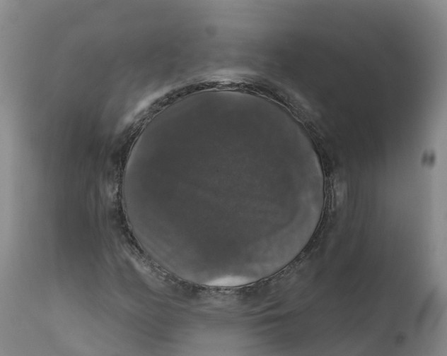 X0000111801158200908131429