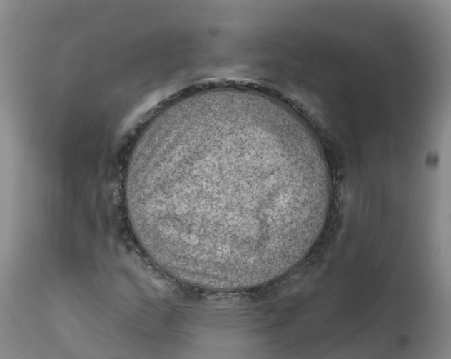X0000111801159200908131429