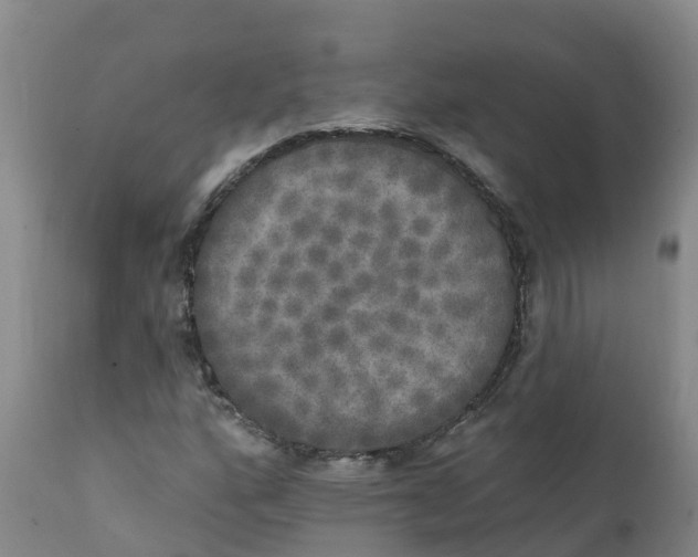 X0000111801160200908131429