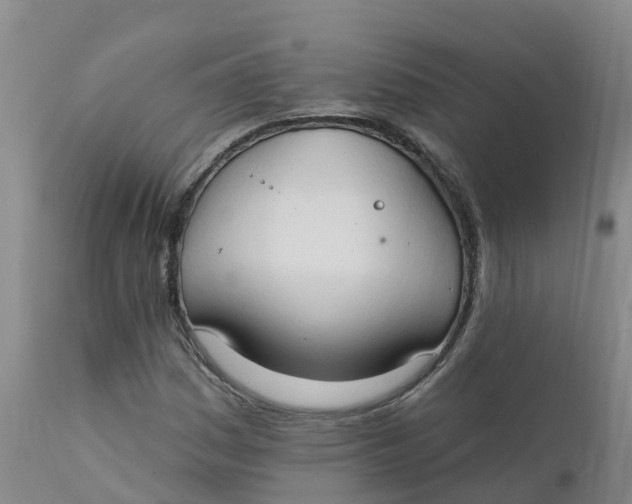 X0000111801161200908131429