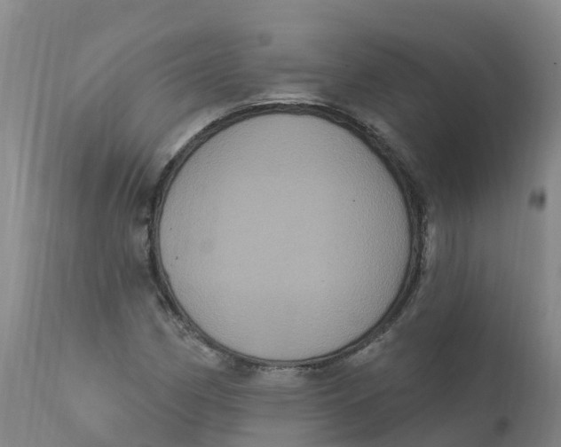 X0000111801162200908131429