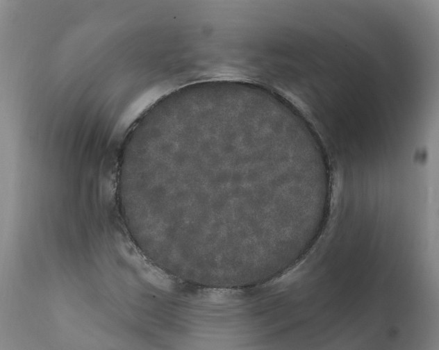 X0000111801163200908131429