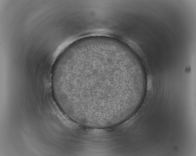 X0000111801164200908131429