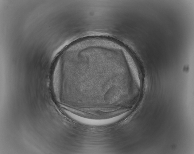X0000111801165200908131429