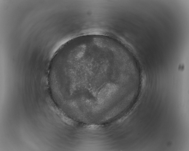 X0000111801166200908131429