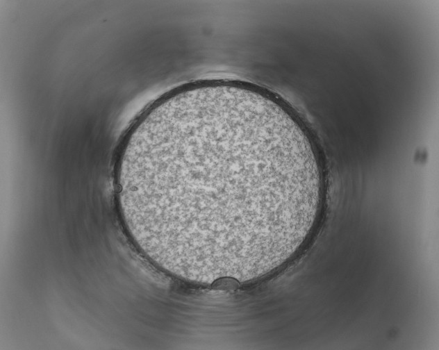 X0000111801167200908131429