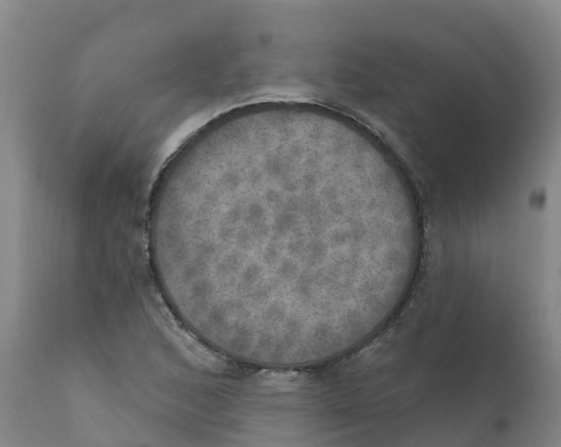 X0000111801168200908131429