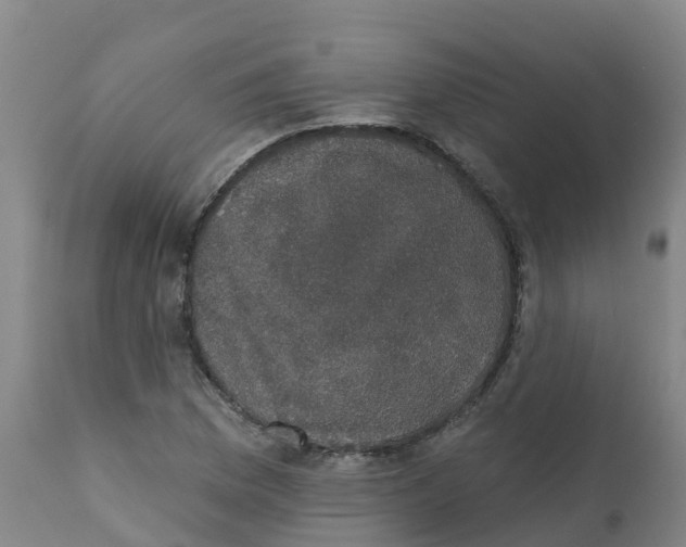 X0000111801169200908131429