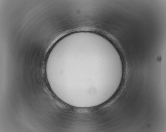 X0000111801170200908131429