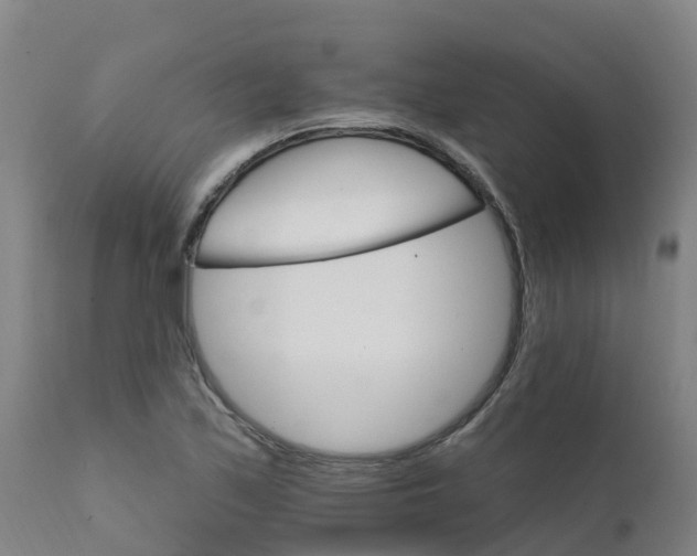 X0000111801171200908131429