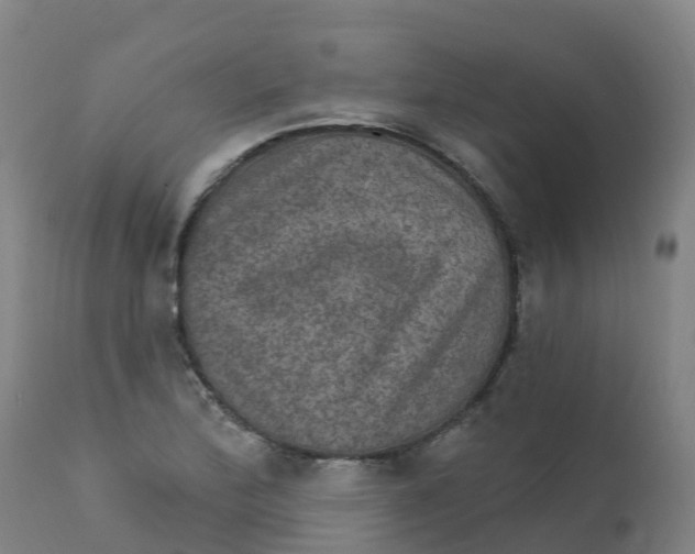 X0000111801172200908131429
