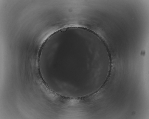 X0000111801173200908131429
