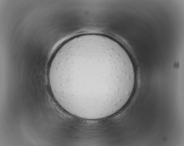 X0000111801174200908131429