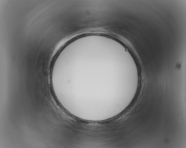 X0000111801176200908131429
