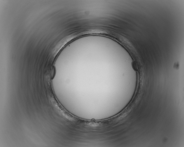 X0000111801177200908131429