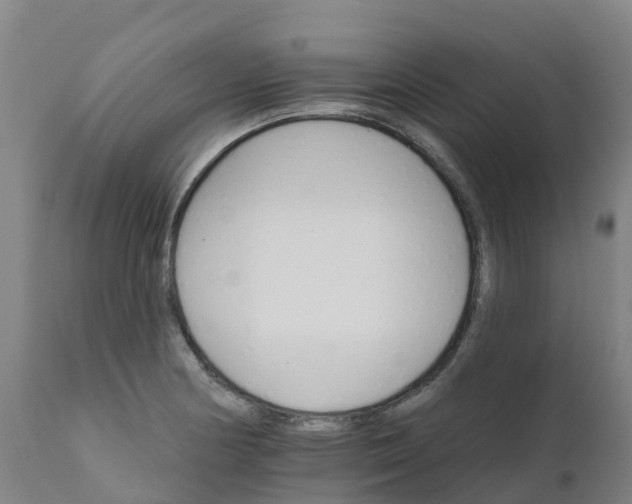X0000111801178200908131429