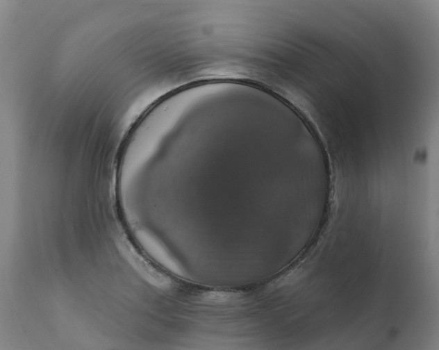 X0000111801179200908131429