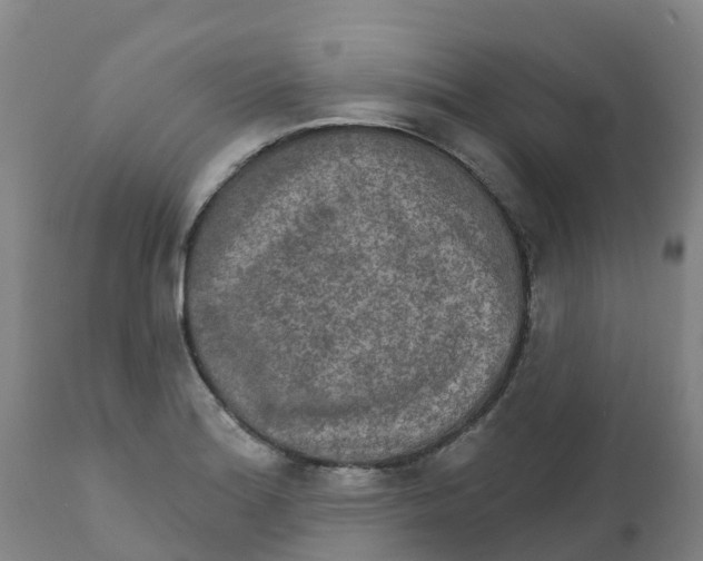 X0000111801180200908131429