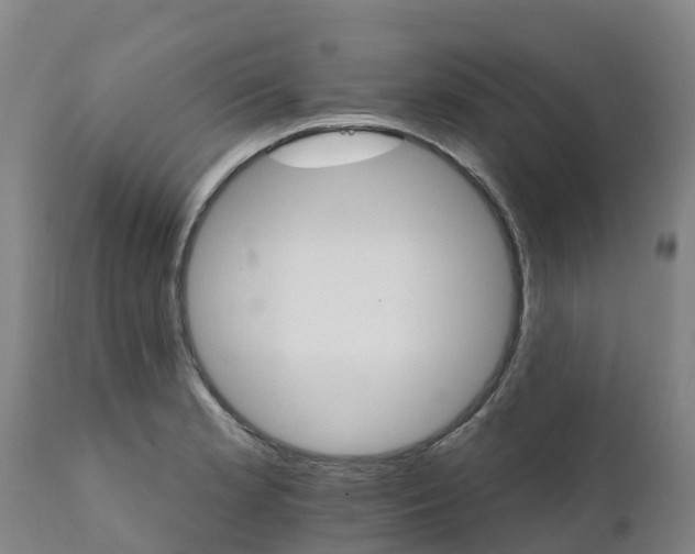 X0000111801181200908131429