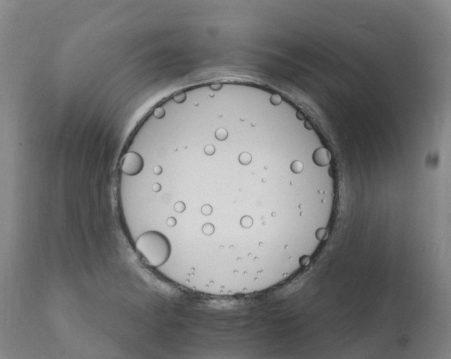 X0000111801182200908131429