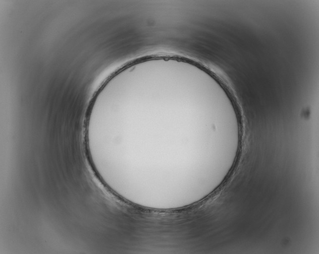 X0000111801183200908131429