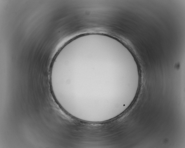 X0000111801184200908131429