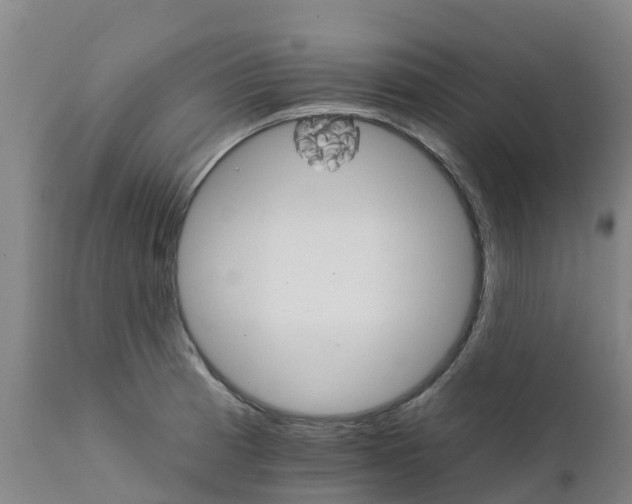 X0000111801185200908131429