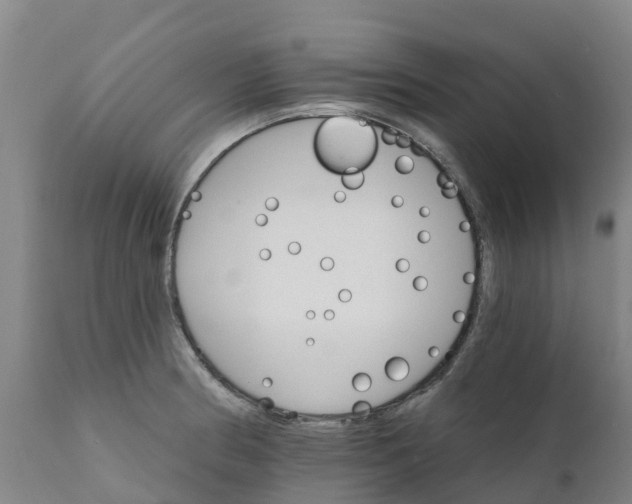 X0000111801186200908131429