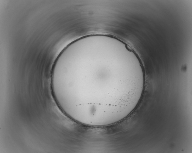 X0000111801187200908131429