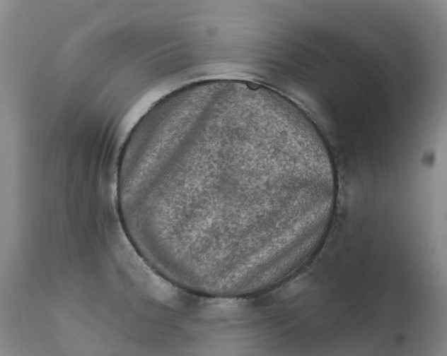 X0000111801188200908131429