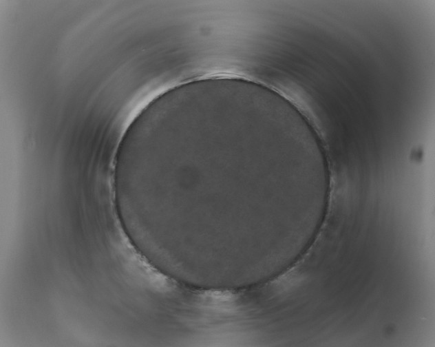 X0000111801190200908131429