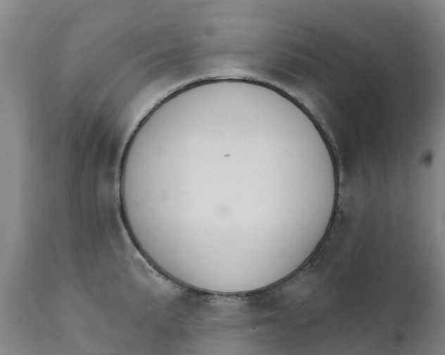 X0000111801191200908131429