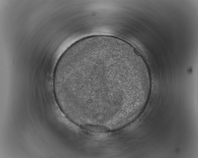 X0000111801192200908131429