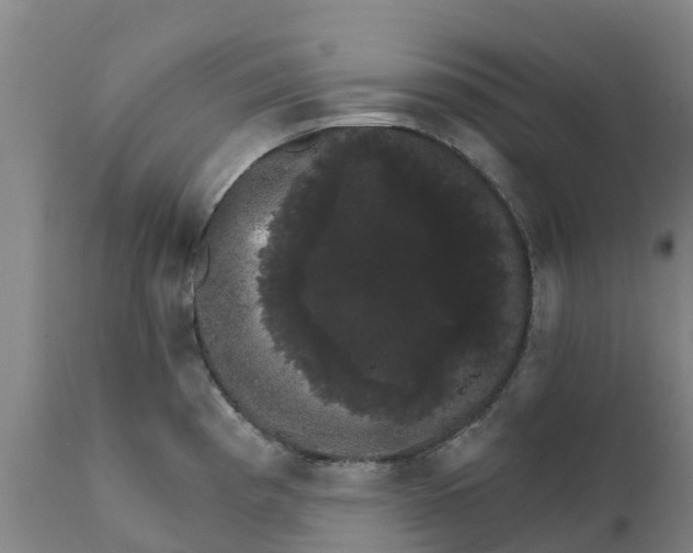 X0000111801193200908131429