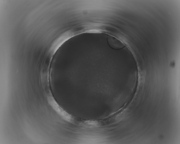 X0000111801194200908131429