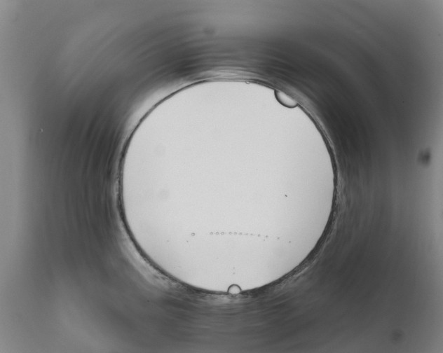 X0000111801195200908131429