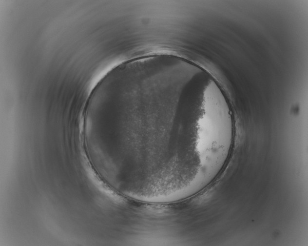 X0000111801198200908131429