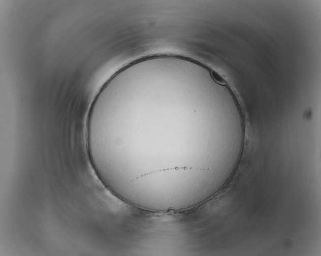 X0000111801199200908131429