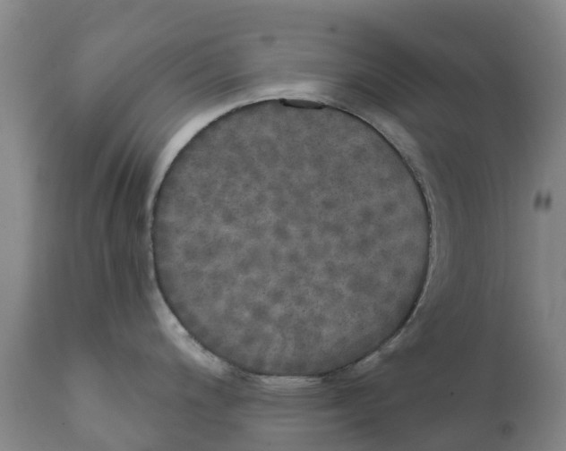 X0000111801200200908131429