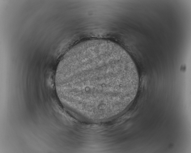 X0000111801202200908131428