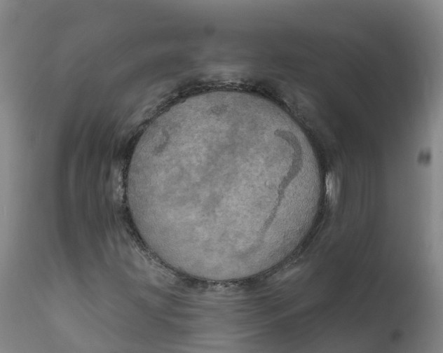X0000111801203200908131428