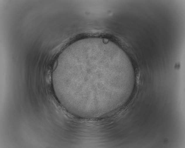 X0000111801204200908131428