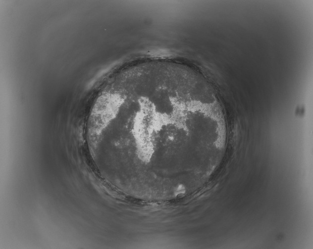 X0000111801205200908131428