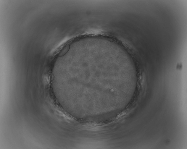 X0000111801206200908131428